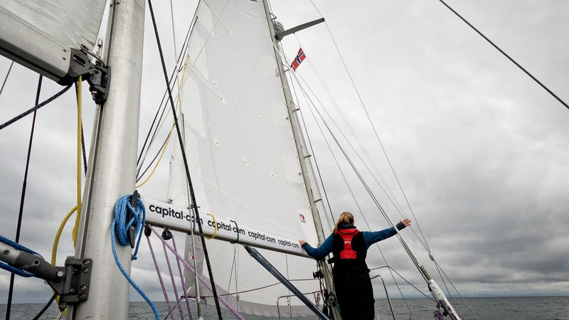 Sailing a Disappearing Arctic