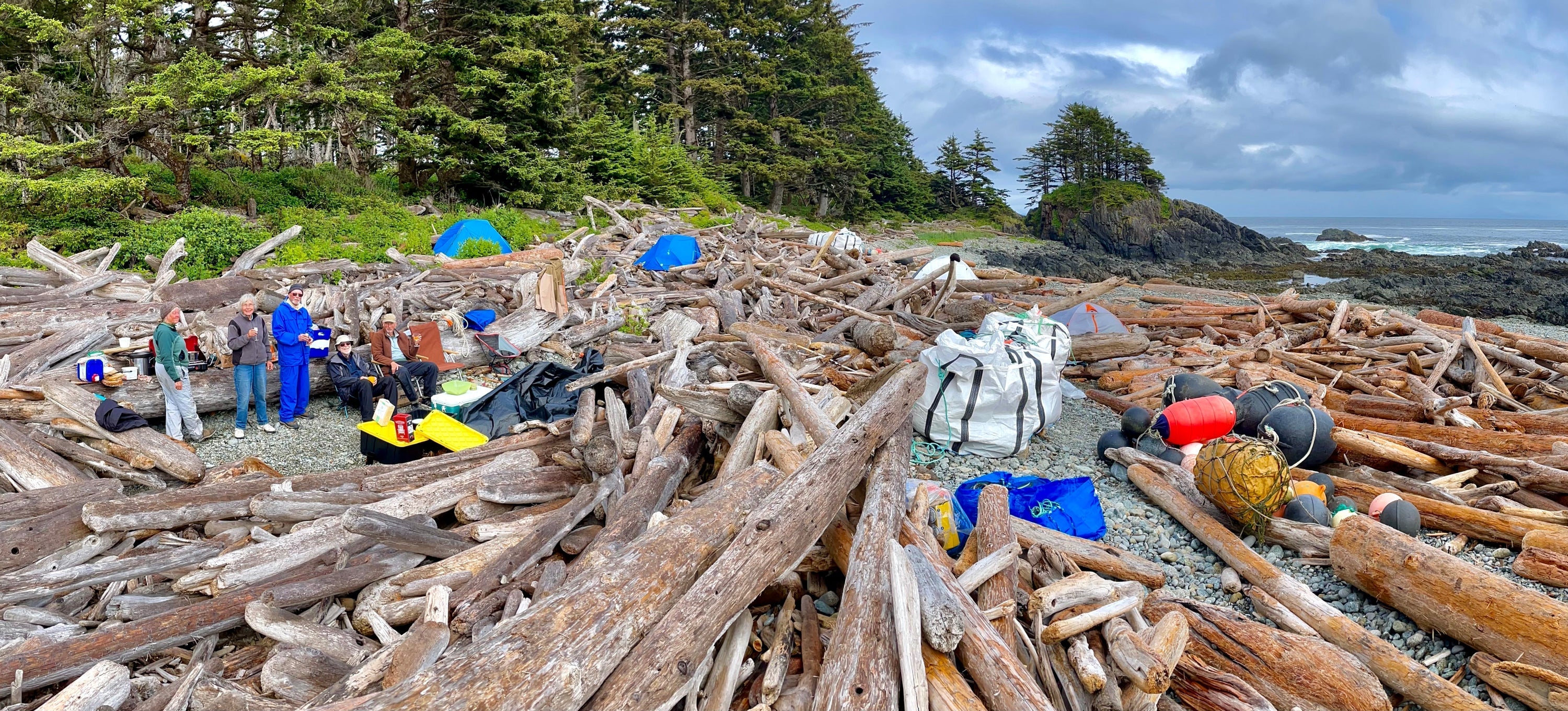 A small group of volunteers takes a break amidst massive piles of driftwood during a coastal beach cleanup project.