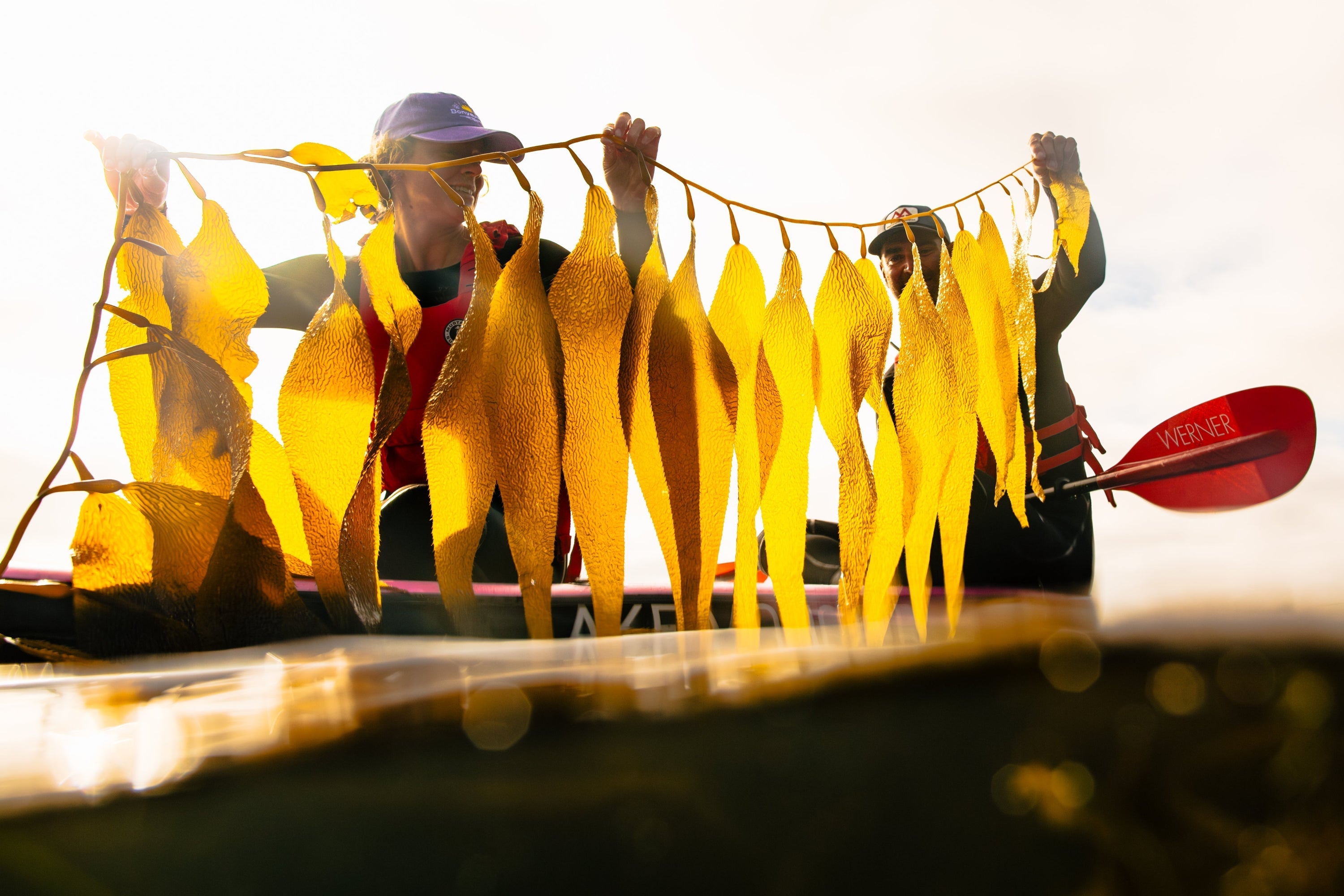 Kelp Forests, Youth Leaders, and Coastal Resilience